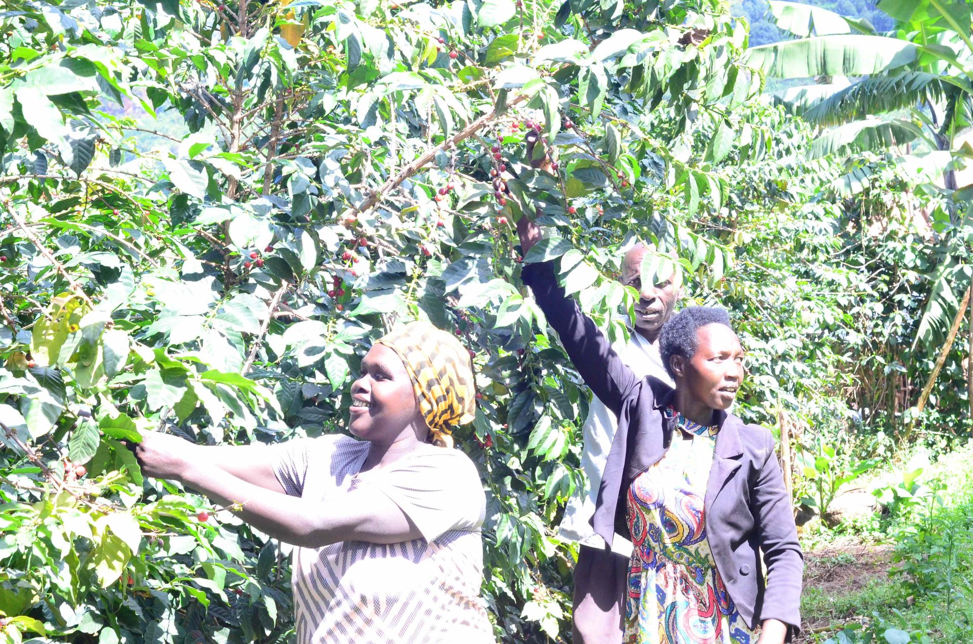 Nilotic Coffee House community event